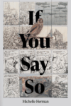 cover of If You Say So by Michelle Herman; cover is divided into blocks almost like comic strip cells with images of birds, ruins, and people