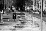 A wet pathway with trees and a bench in a city park