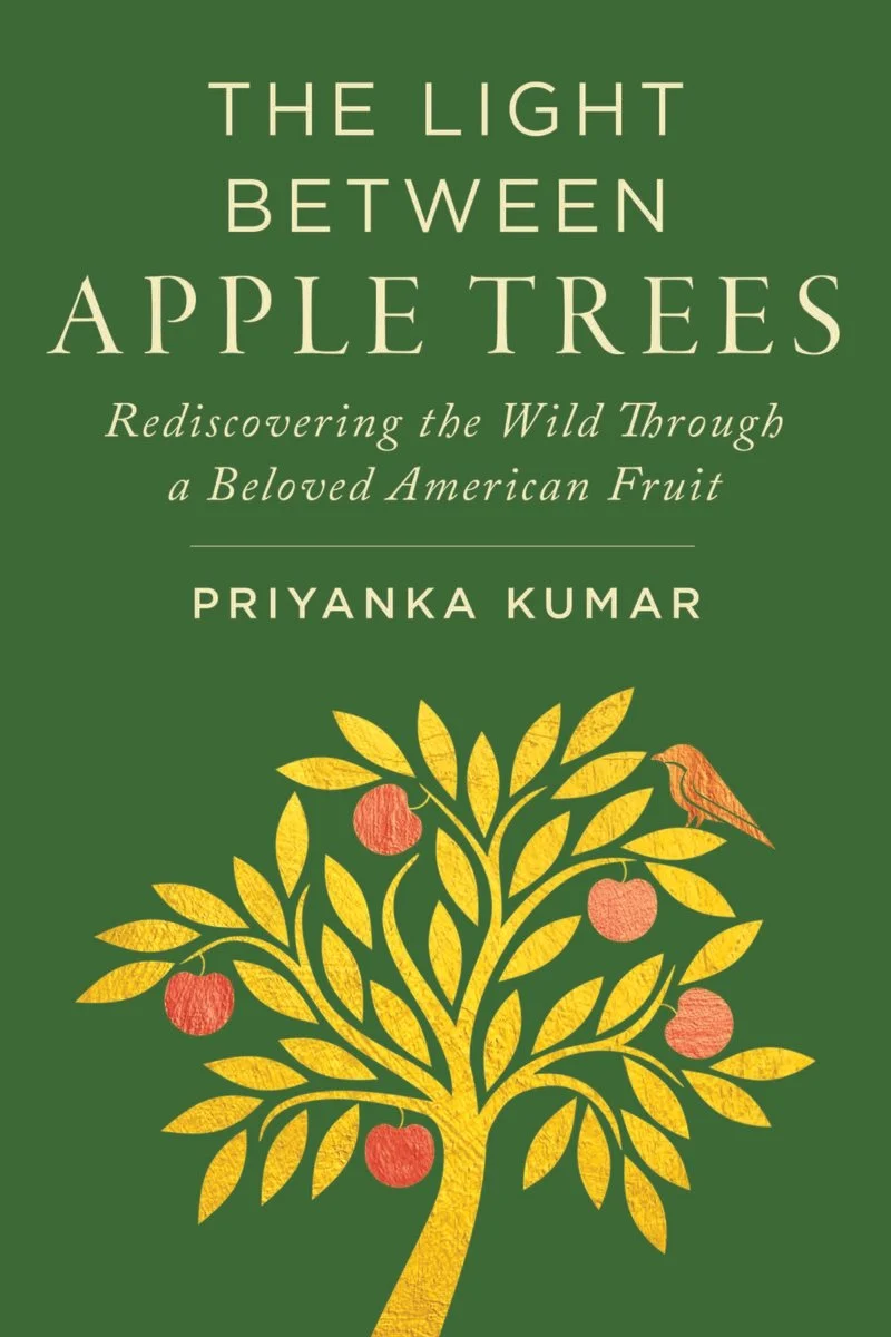 cover the hybrid memoir by Priyanka Kumar, The Light Between Apple Trees: Rediscovering the Wild Through a Beloved American Fruit; green background with yellow trees and orange-colored apples