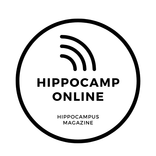 hippocamp online graphic with wi fi icon