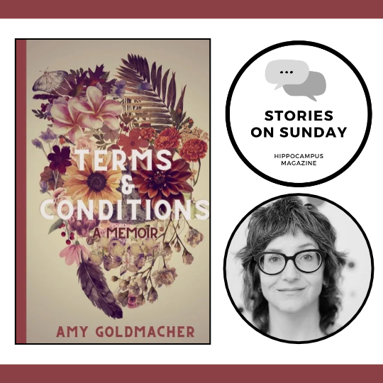 stories on sunday with amy goldmacher author of terms and conditions memoir